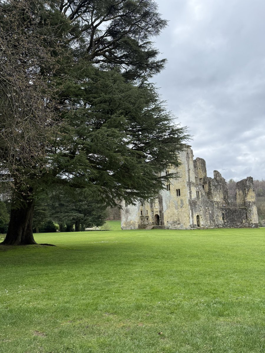 Toby Knight tweet media