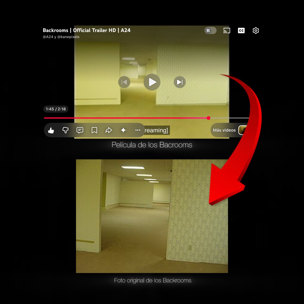 Diego Orjuela tweet media