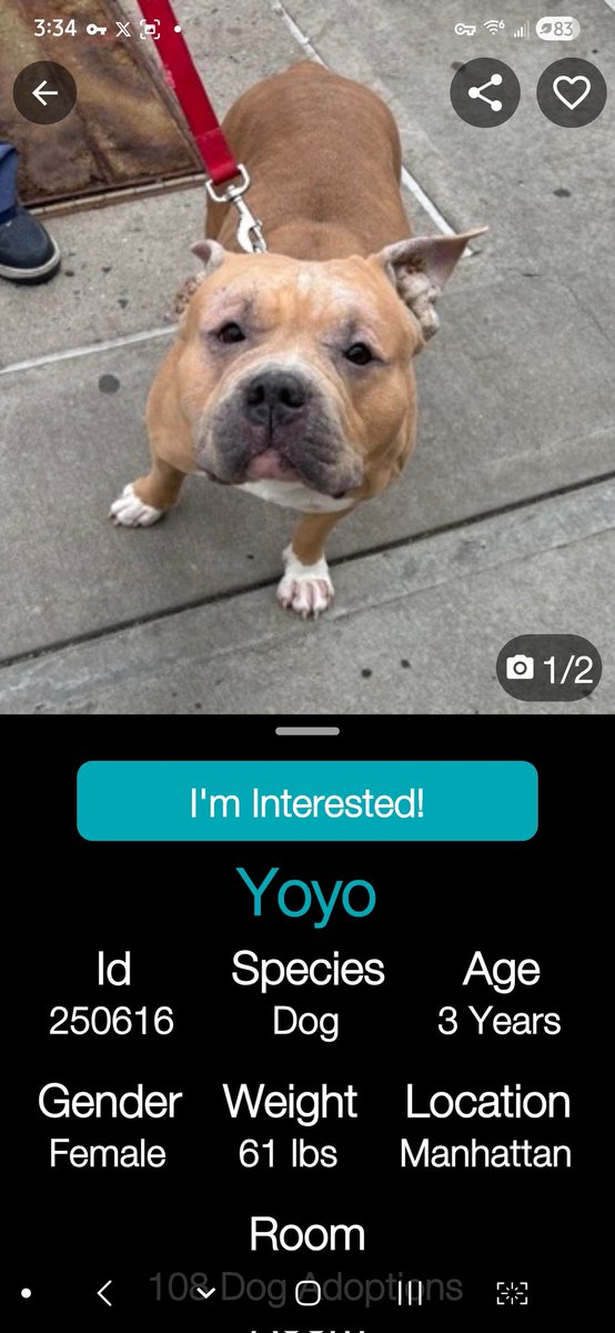 Julie🌻🐾 tweet media