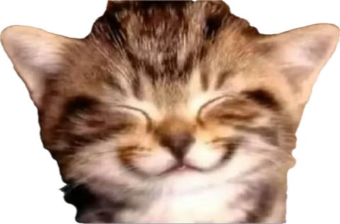 غيــاب tweet media