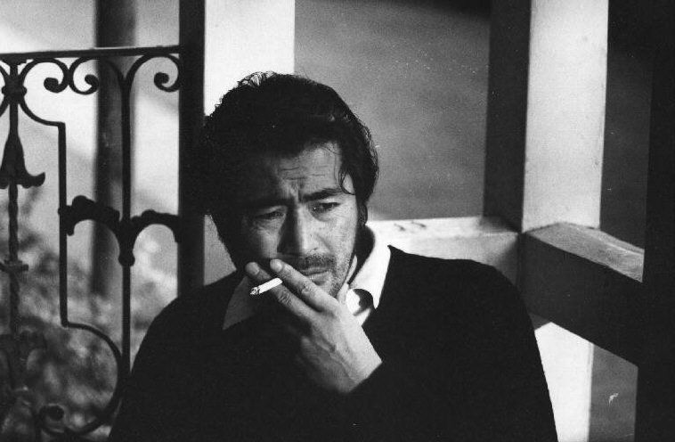 DepressedBergman tweet media