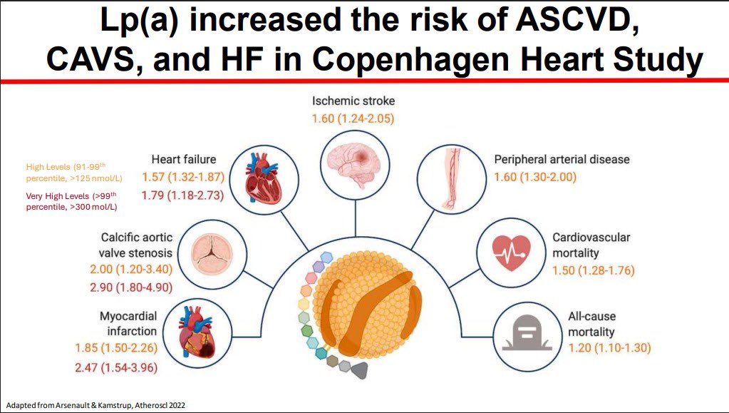 Prof. Dr. Muhammed Keskin tweet media
