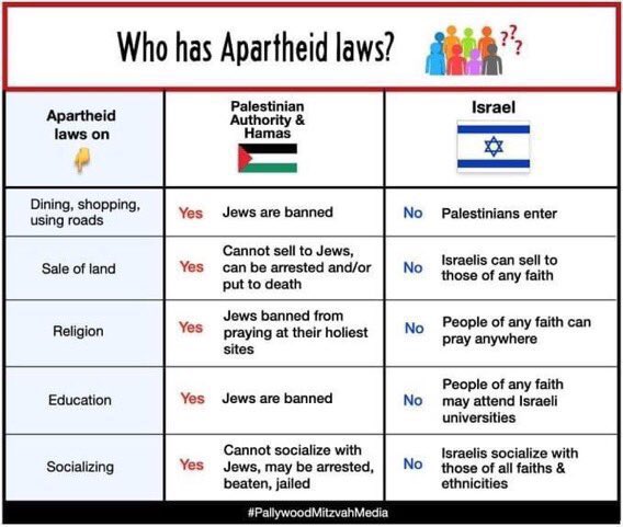 Ton ten Heerde tweet media