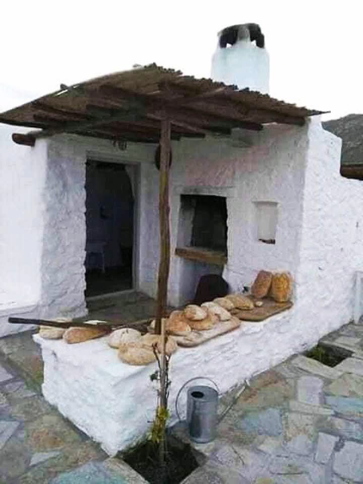 frappedophilosophy tweet media