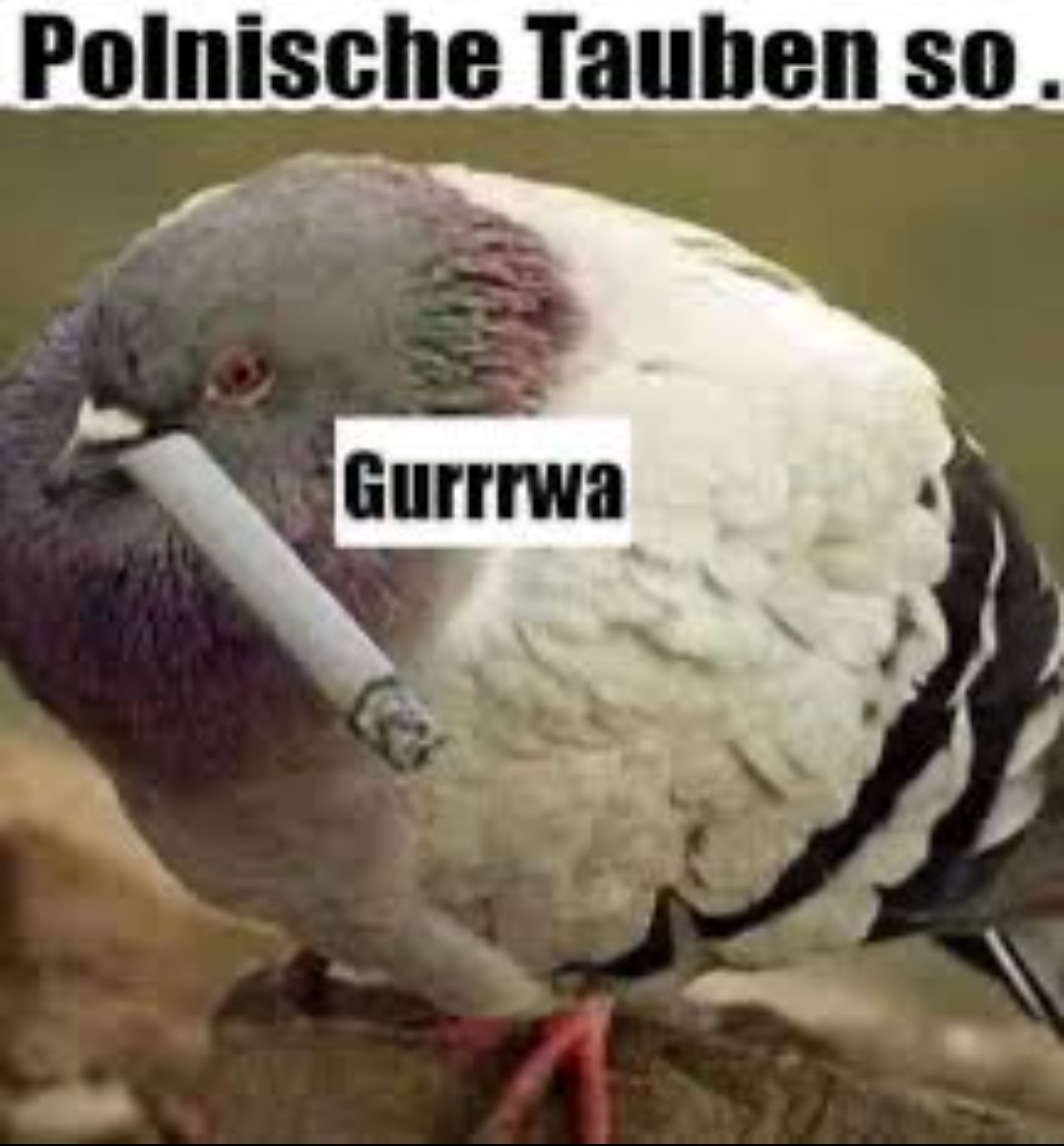 Tuco Ramírez tweet media