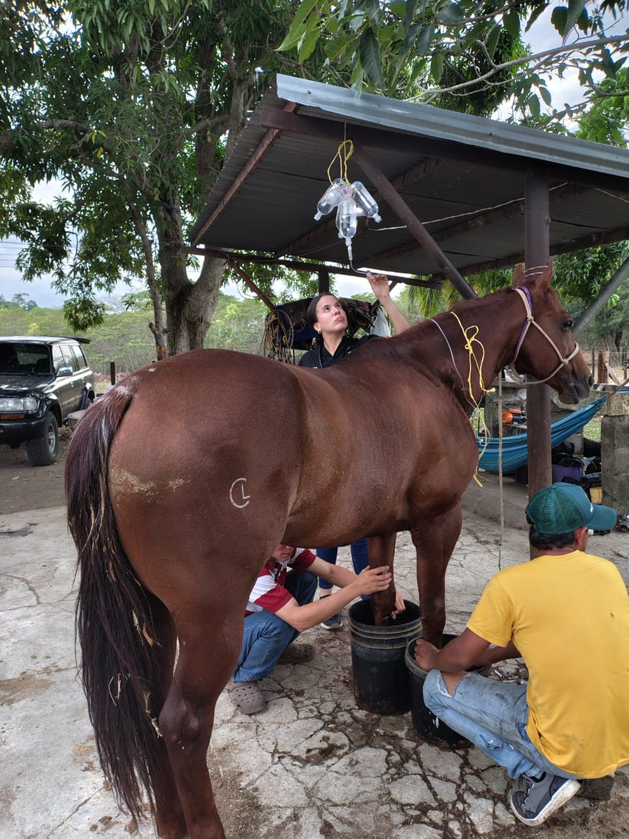 El Fogón de Palo🔥 tweet media