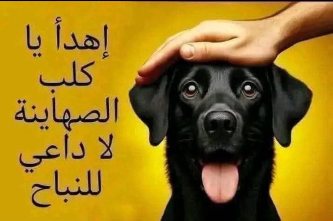 IraqiAlasadi tweet media