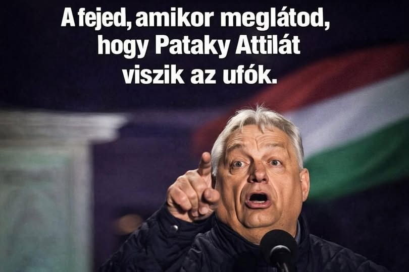 Gusztáv Zámbori tweet media