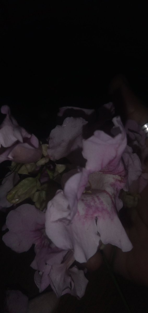 Danny Dexter tweet media