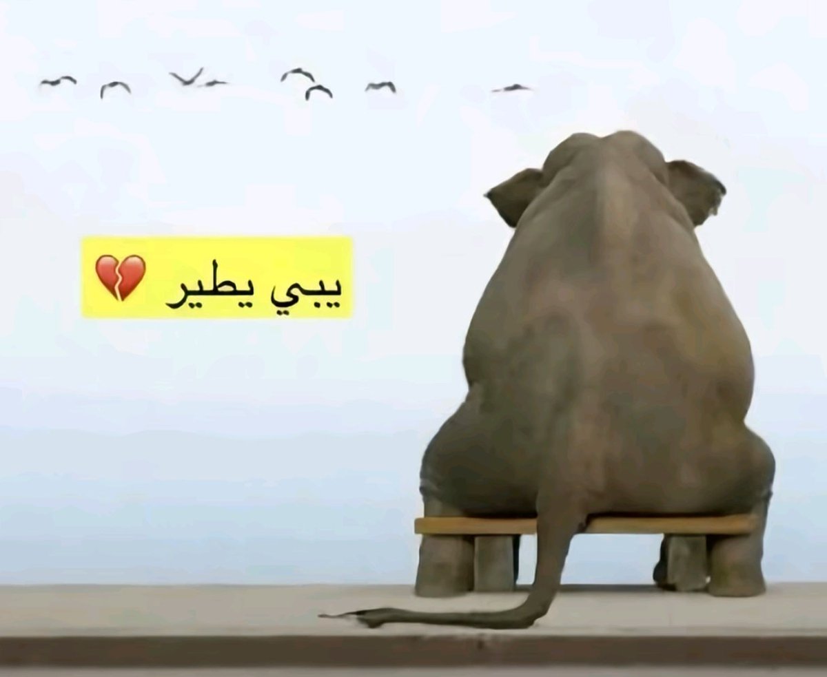 seny0ure's tweet photo. طموحاتي واستغرب ليه ما حققتها https://t.co/BOKpxS7F3y