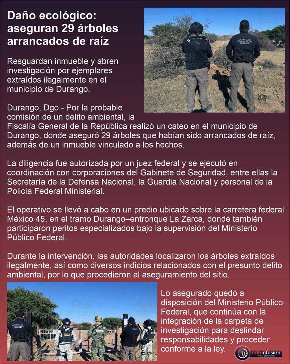 Infusión tweet media