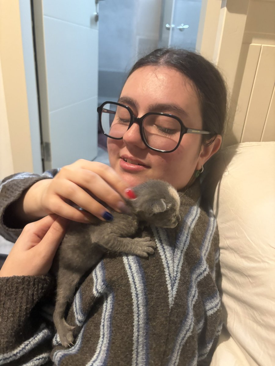 תמה 38 🏚️ tweet media