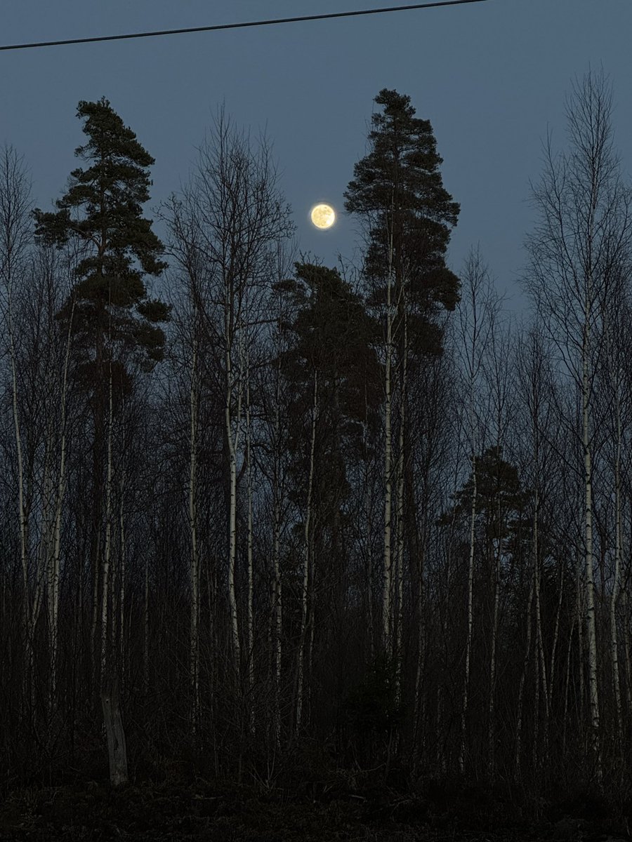 Thomas Rosenhagen - thomrosenhagen@bsky.social tweet media