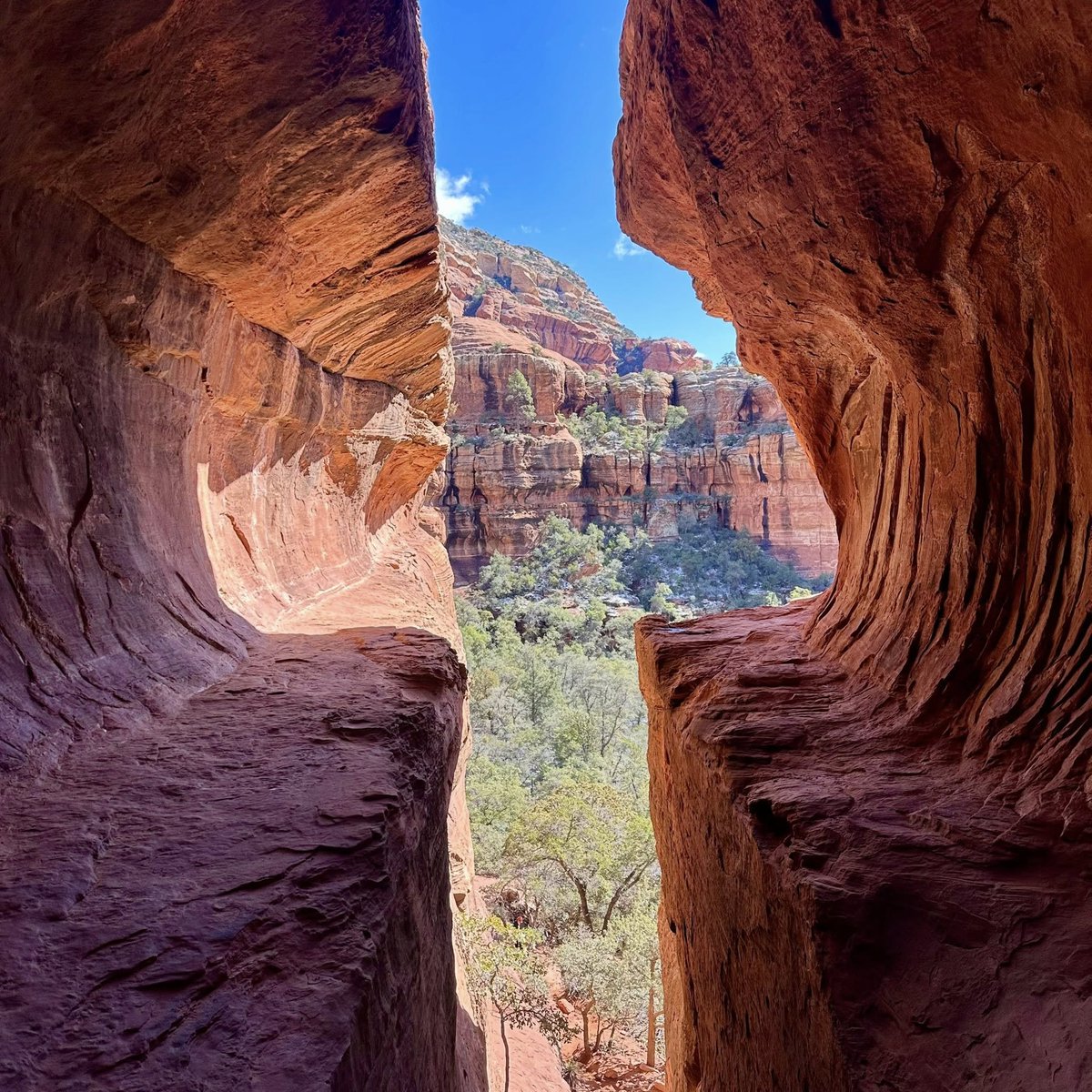 up and adam tweet media