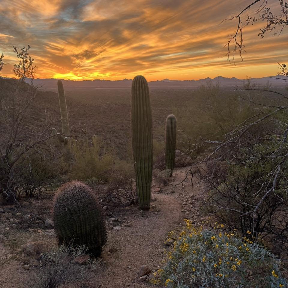 up and adam tweet media