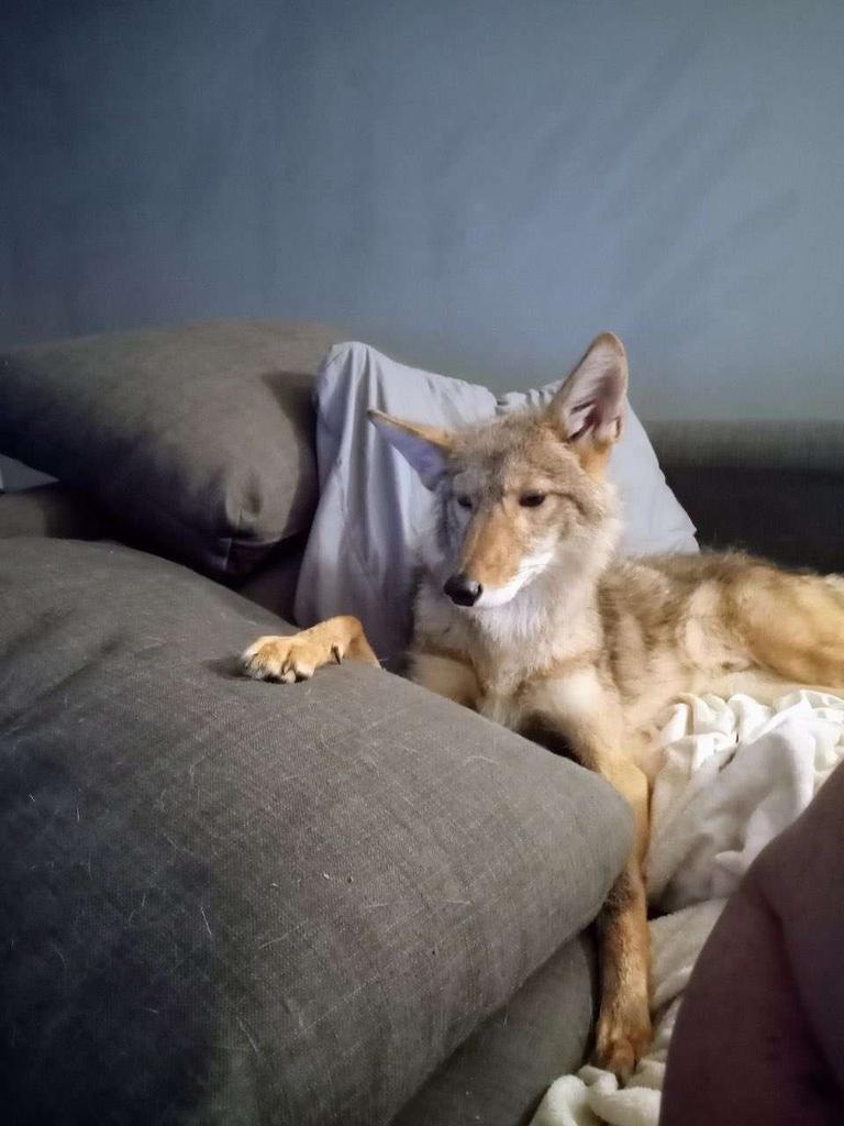 ฿ØØ₦Ɇ฿łØ₦ł₵₴ tweet media