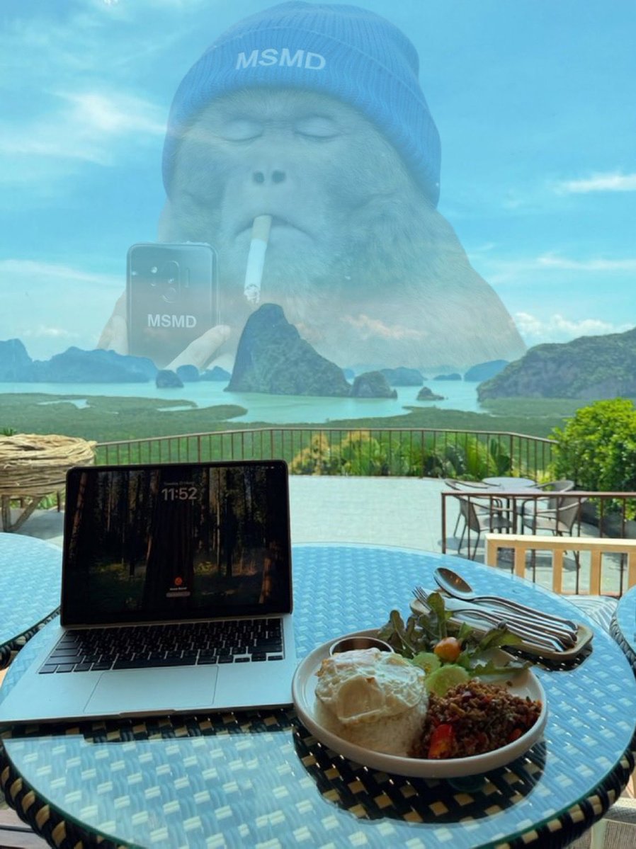 MonkeySeeMonDDL's tweet image. #MonkeySeeMonkeyDo  What a great view! #crypto