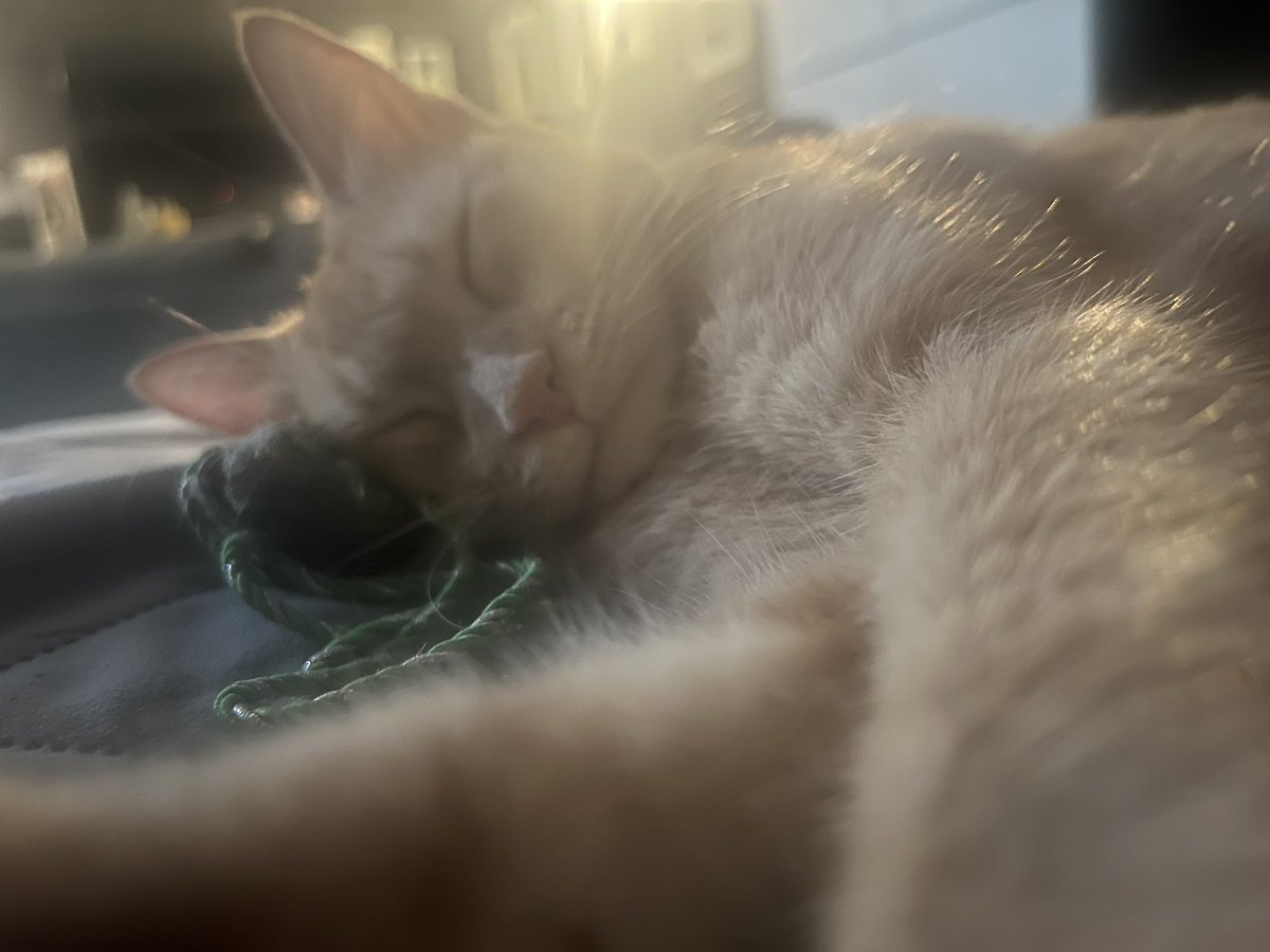 MAYA 5 💋 tweet media