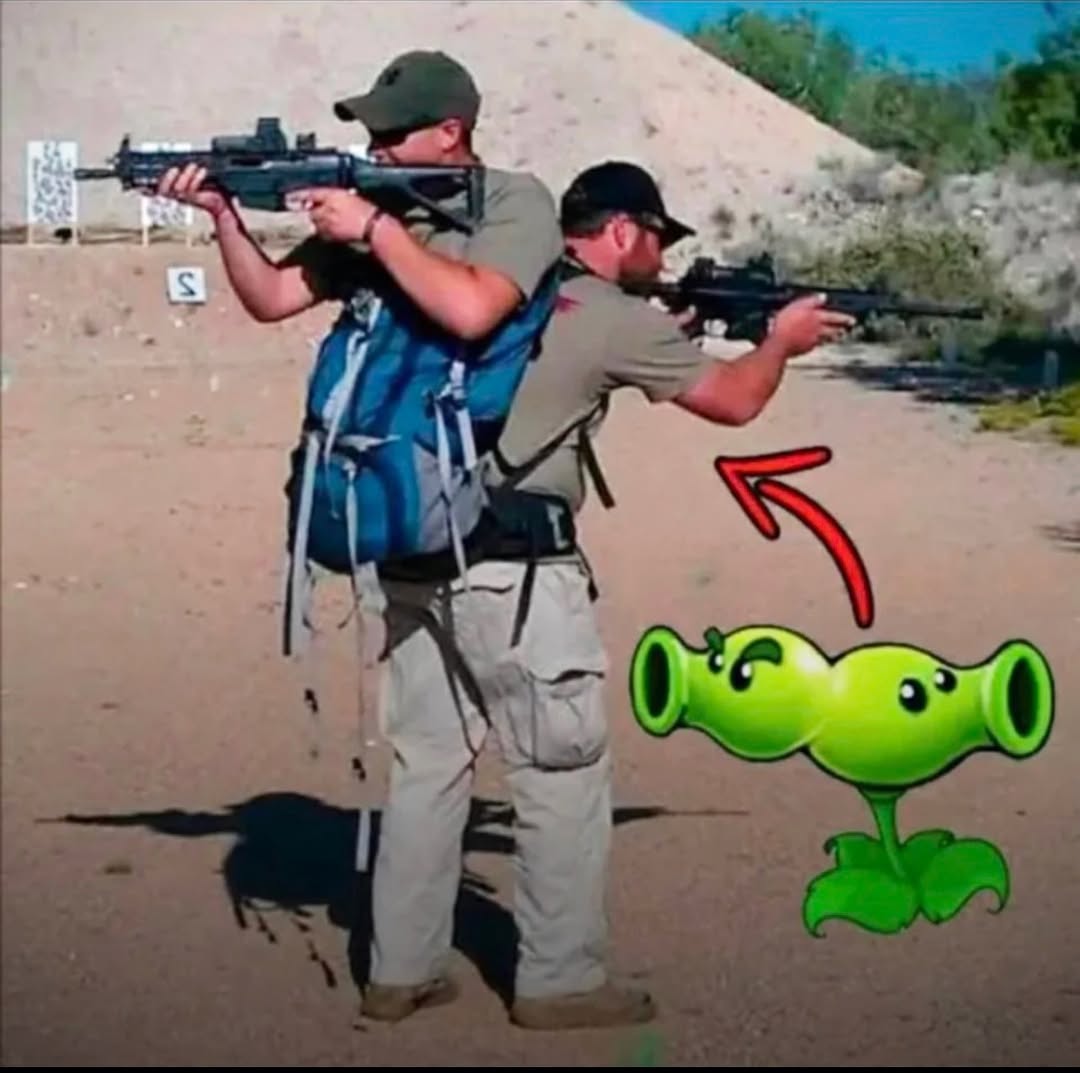 brainrot dimension tweet media