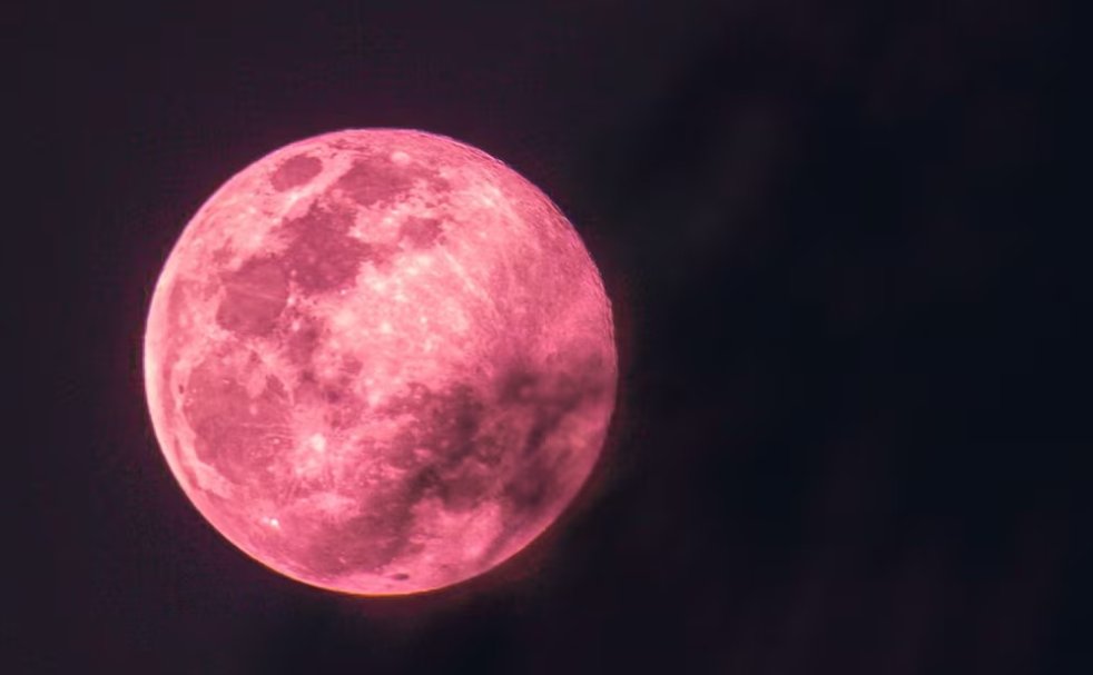 Diario de Colima tweet media