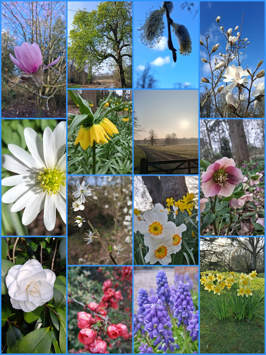 🌱 Debs - Raindrops on Roses tweet media