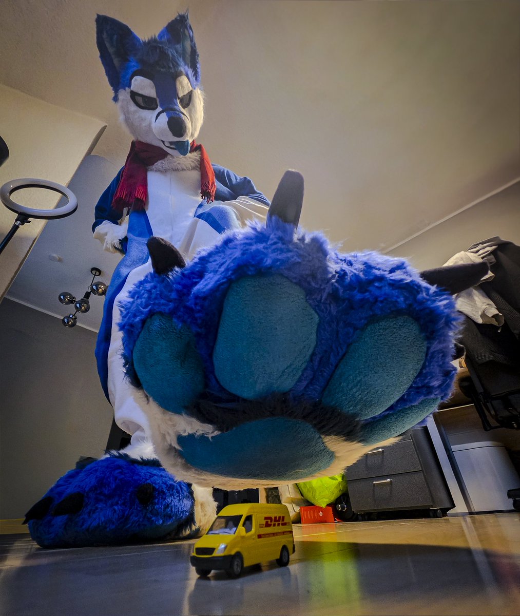 Chiko 🦊🐾 🔜 NFC tweet media