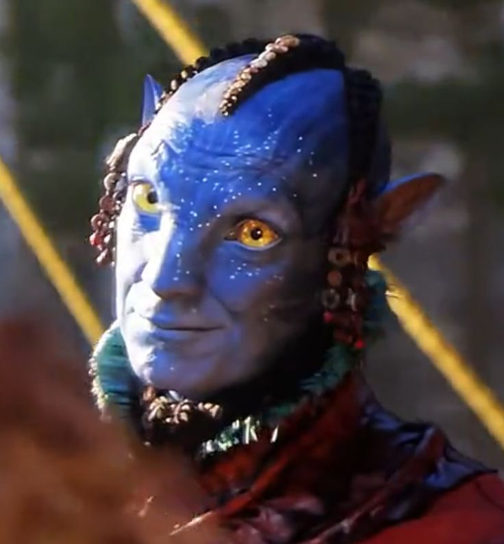 Haileyyy𓇼🌸 tweet media