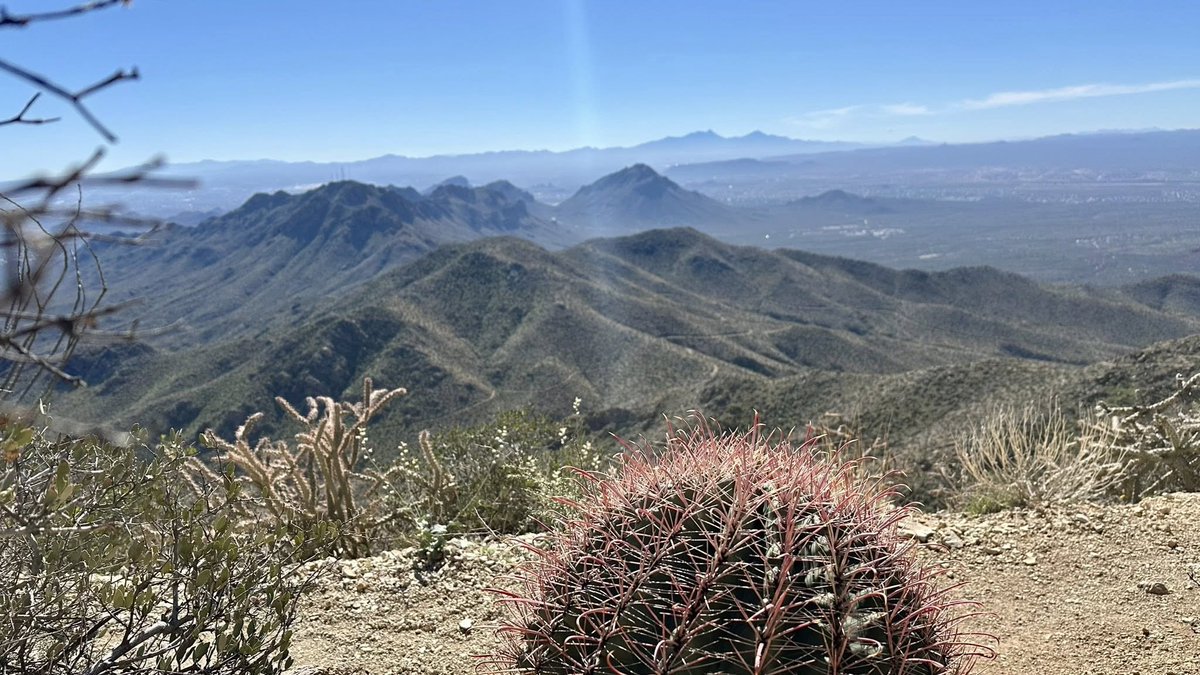 up and adam tweet media