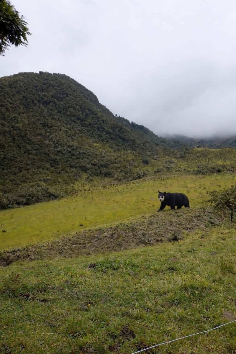Radio Nacional CO tweet media