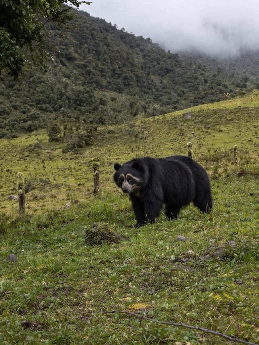 Radio Nacional CO tweet media