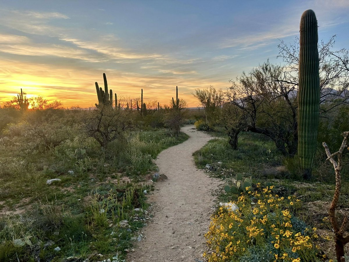 up and adam tweet media