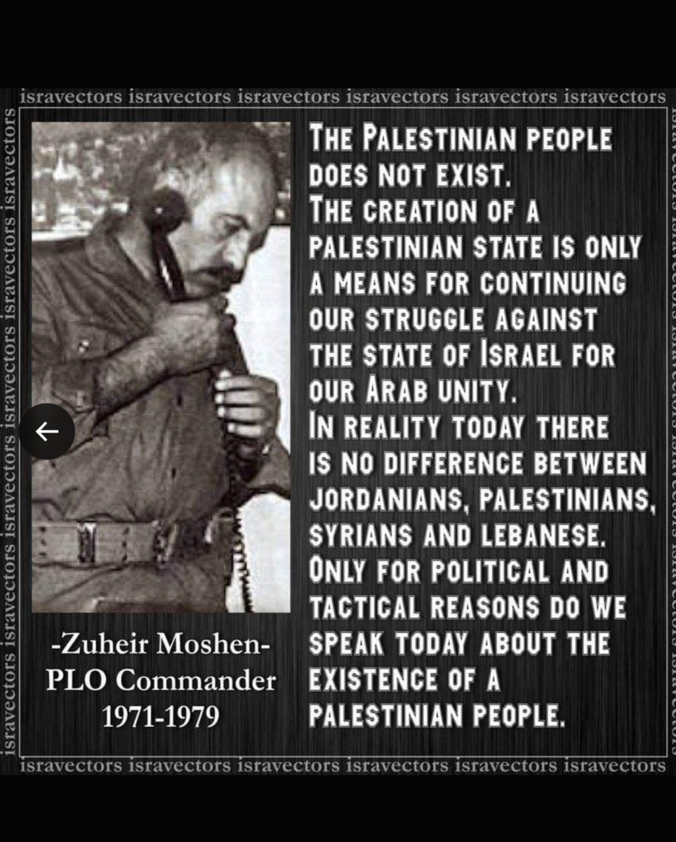 david mamnixx tweet media