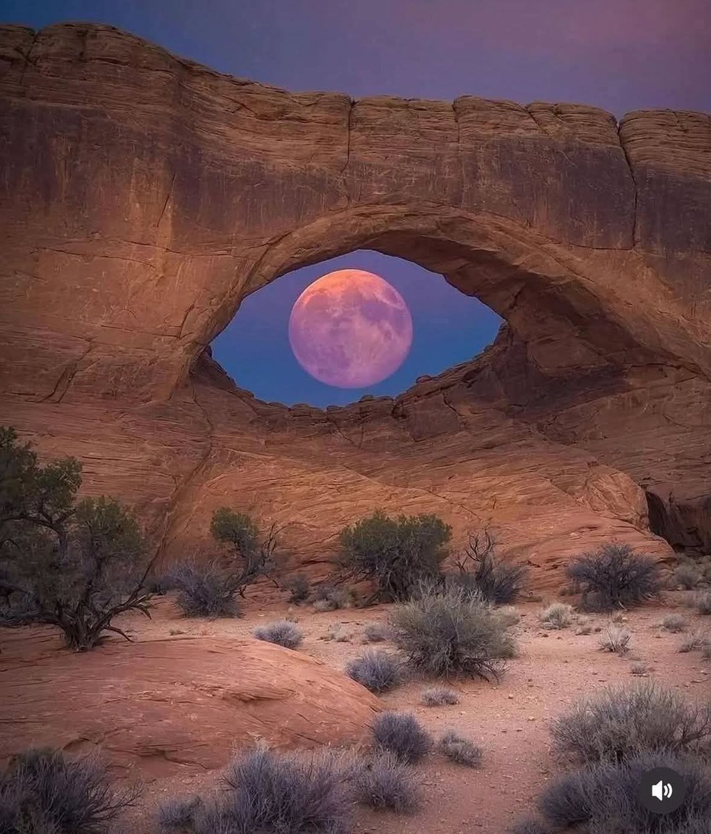 N A T U R E tweet media