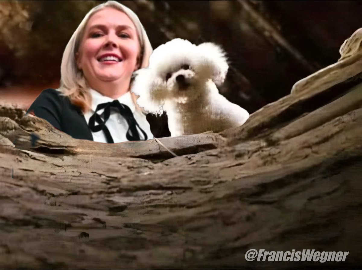 𝙎𝙋𝙊𝙊𝙆𝙔 𝙁𝙊𝙍𝘾𝙀 GAZETTE🇺🇸🇺🇦 tweet media