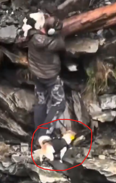 Ӿ C_V Ӿ tweet media