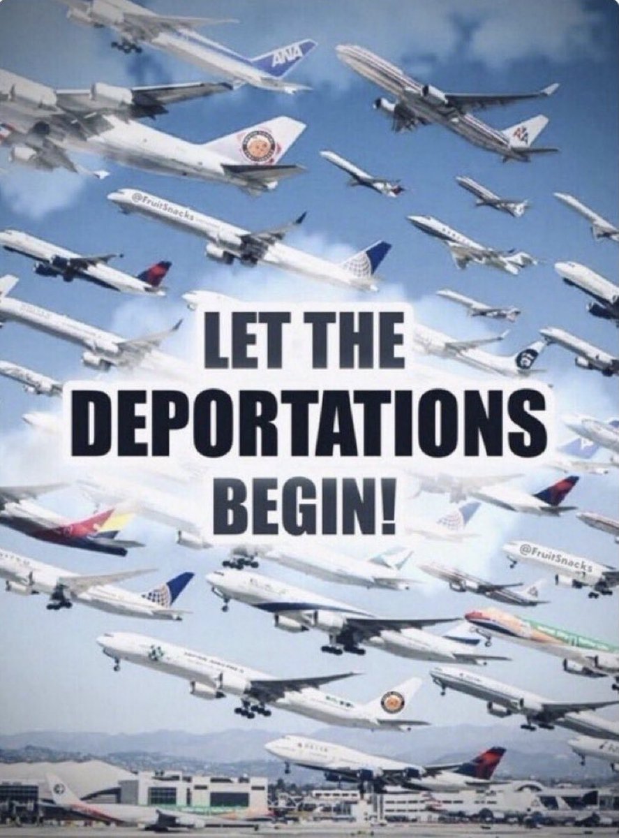 WolfKingTube tweet media