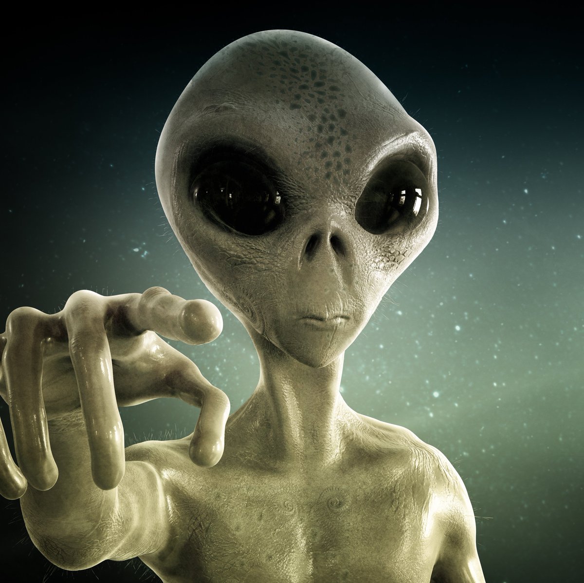 The Touchfield | 𝐓 tweet media