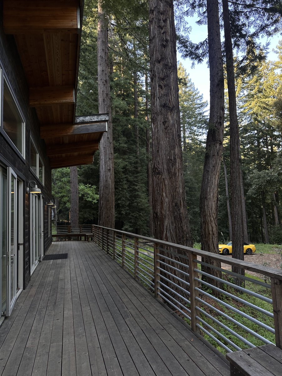 the wizard 👩🏽‍🎨 tweet media