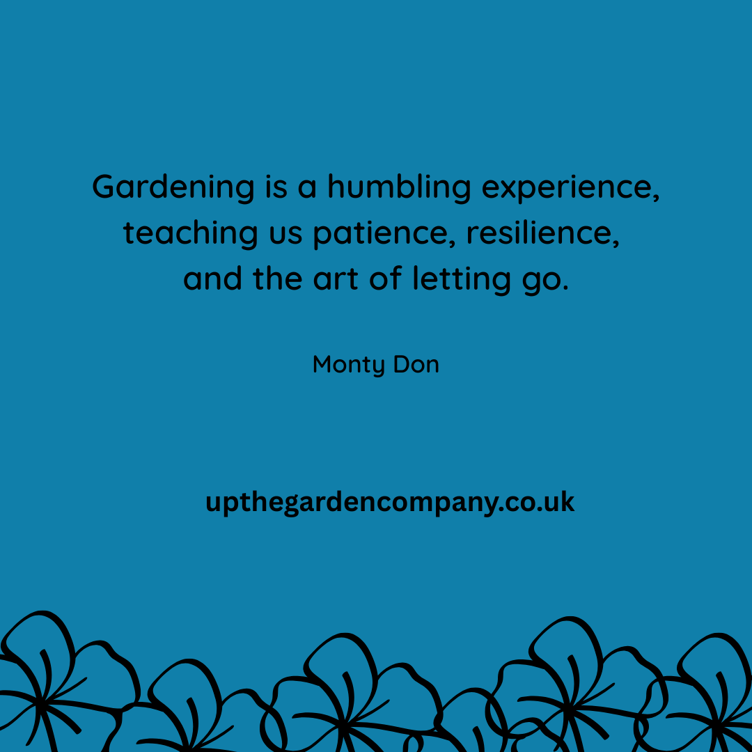 UpTheGardenCo's tweet image. Gardening teaches us more than we realise 🌱
Sometimes the lessons we need most grow quietly 🌿

Discover your garden sanctuary:
👉 upthegardencompany.co.uk

#GardeningLife #MindfulLiving #GardenWisdom #GrowYourOwn #NatureHeals #montydon #gardeningquotes #montydonquote