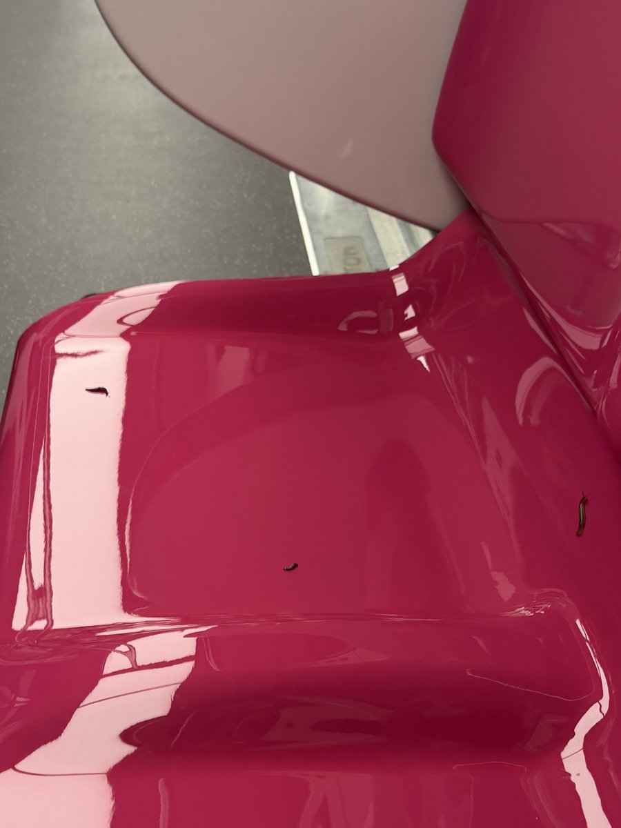 Marie 💗 is seeing Ari tweet media