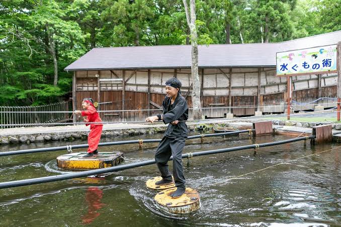 我楽多🇯🇵 tweet media