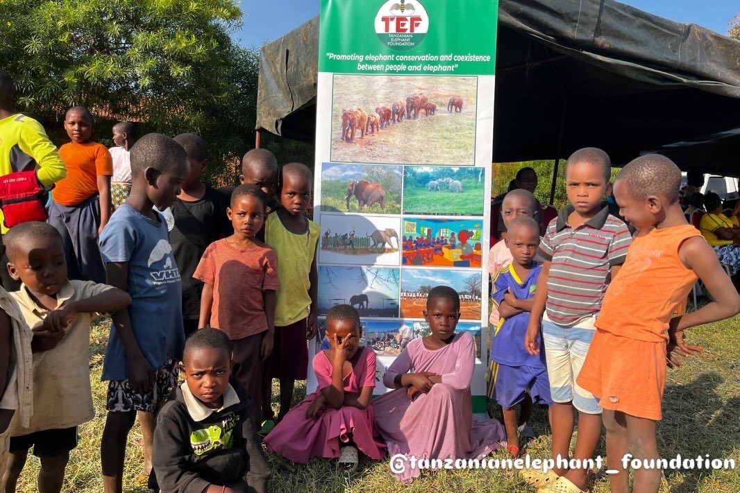 Tanzanian Elephant Foundation tweet media