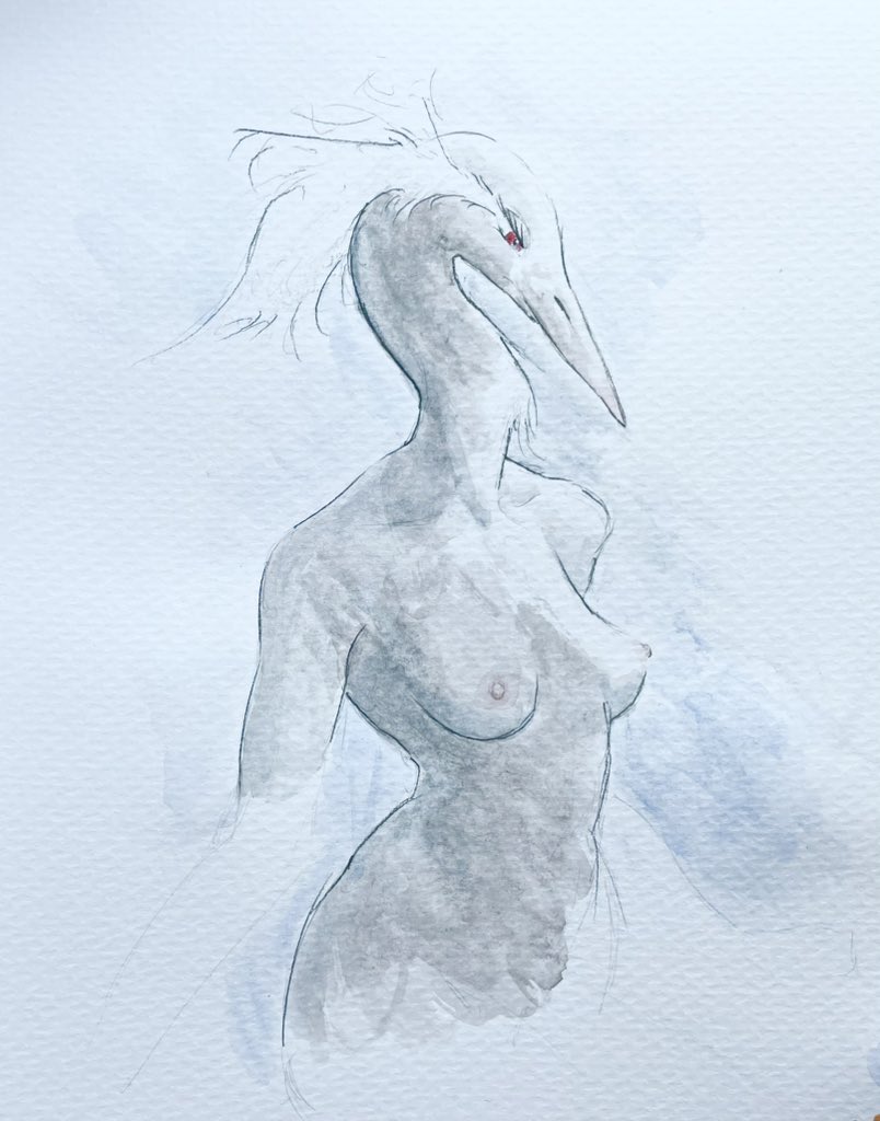 Aedificator tweet media