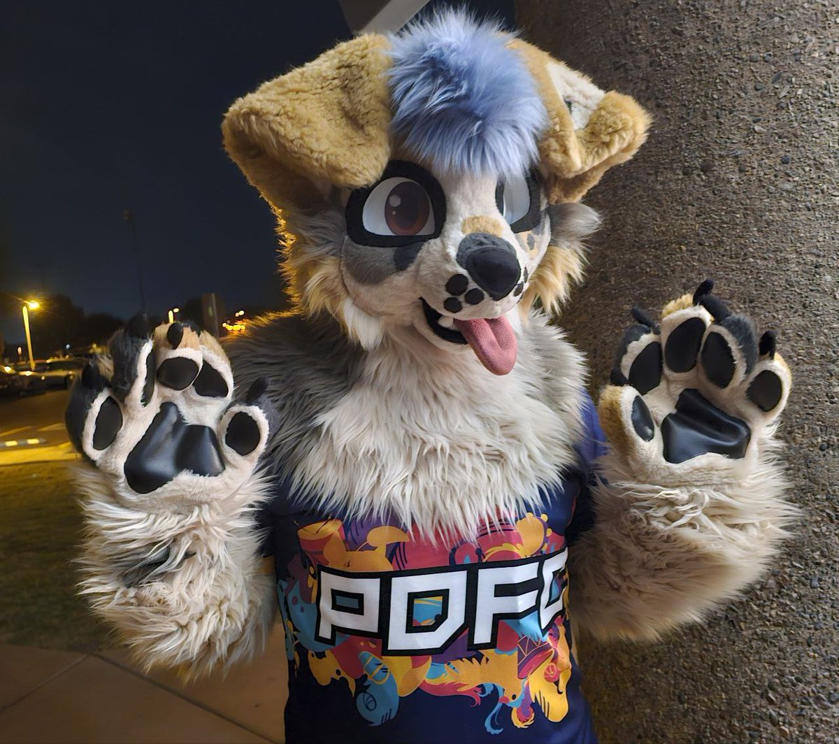 Gila Bender/Sierra Aussie tweet media