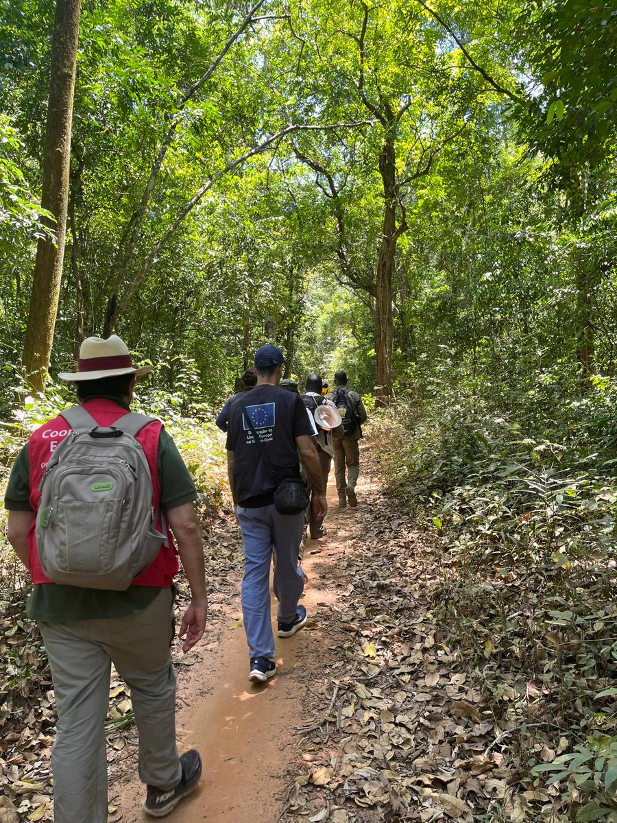 Embajada de España en Guinea Bissau tweet media