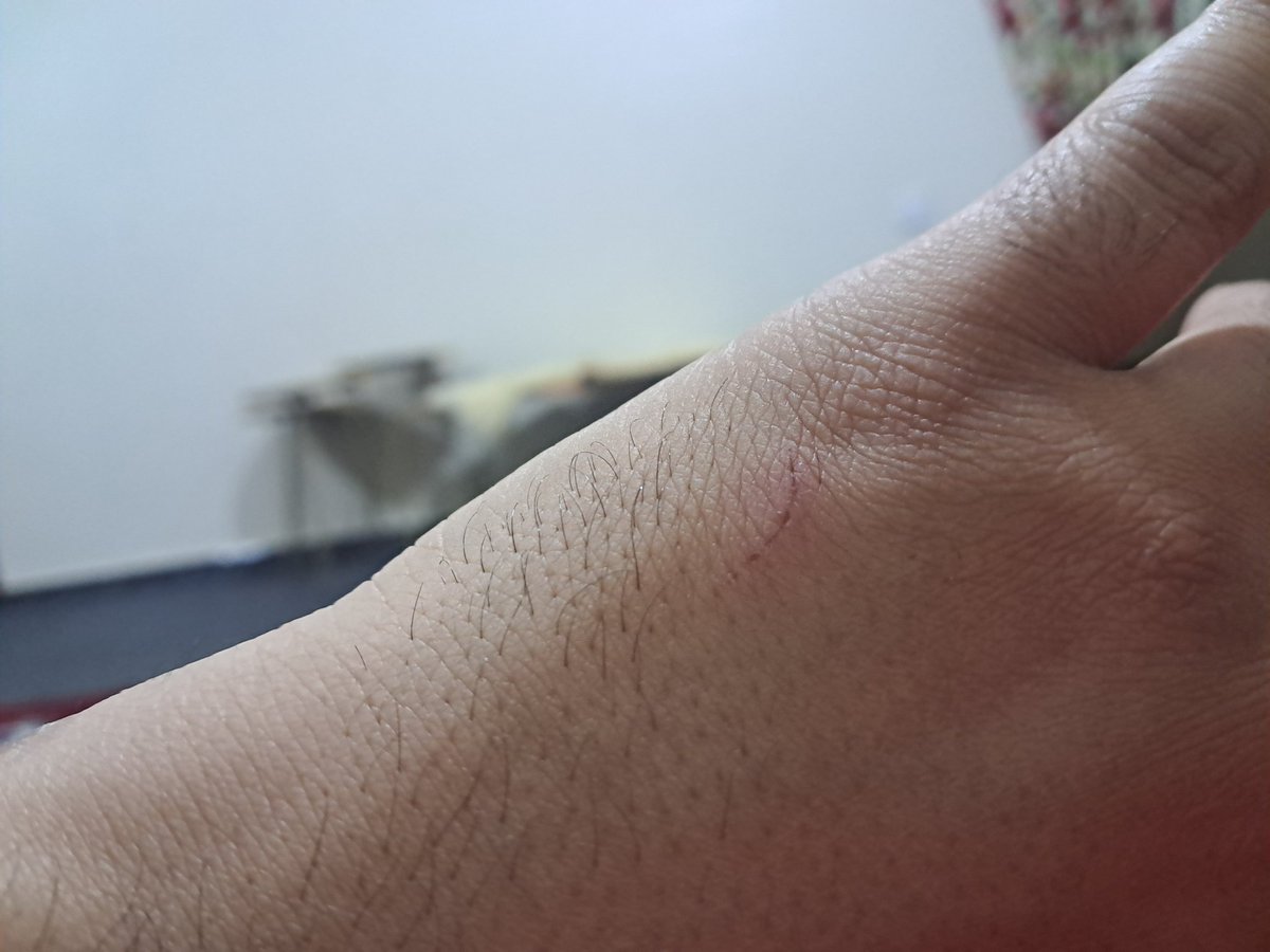 مش ليبي tweet media