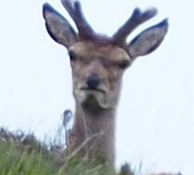 nowOfficial tweet media