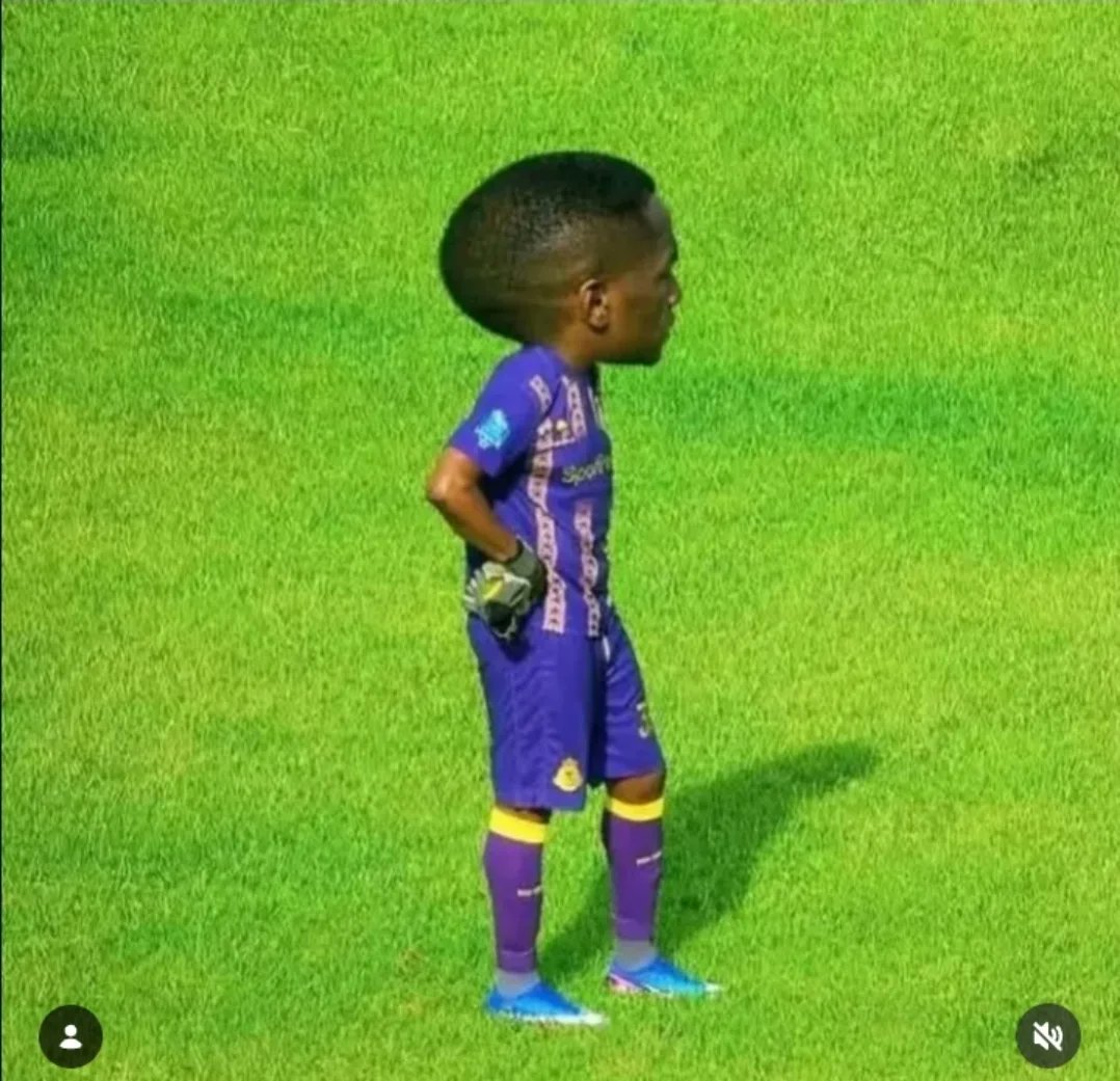 موسى tweet media