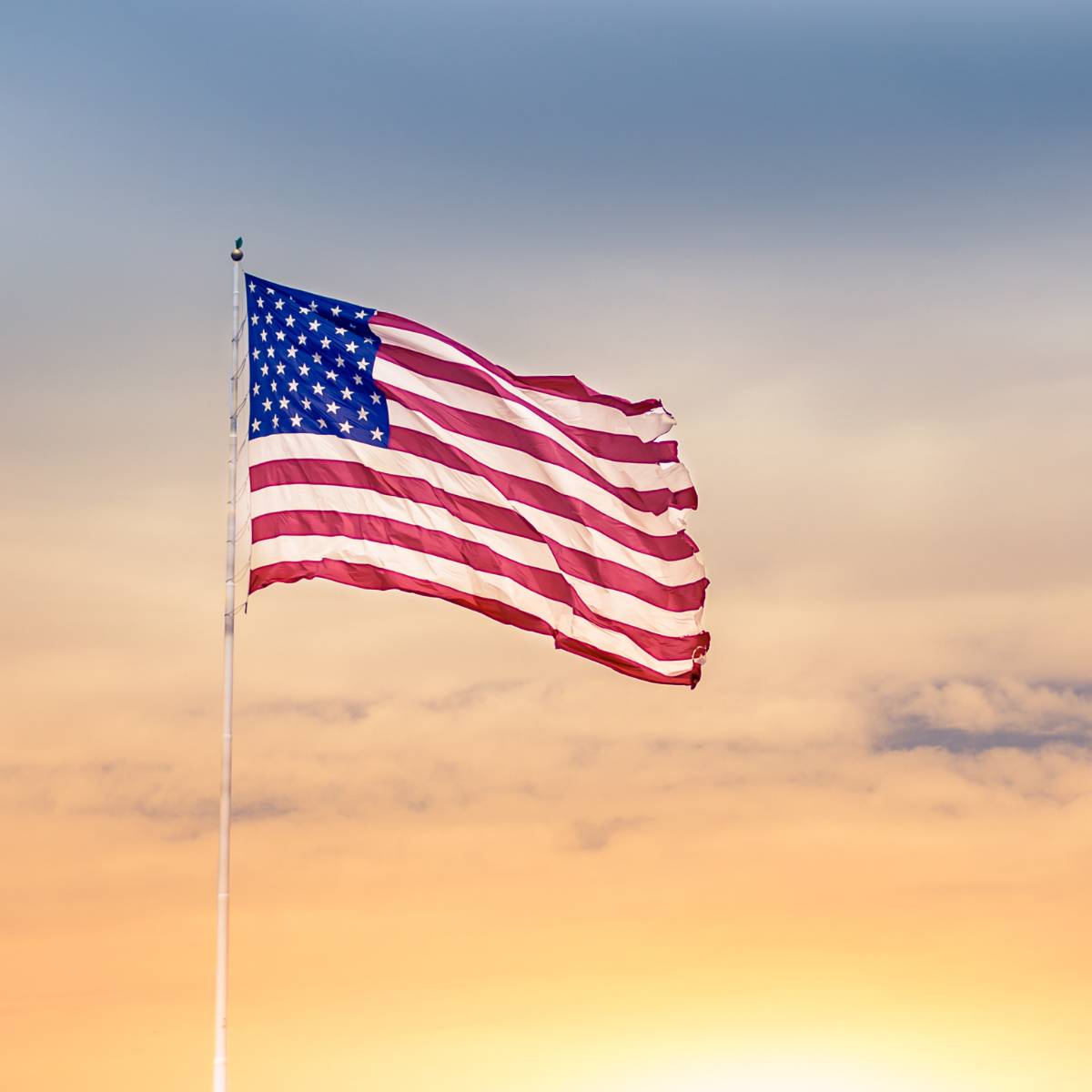 Mr Dav X tweet media