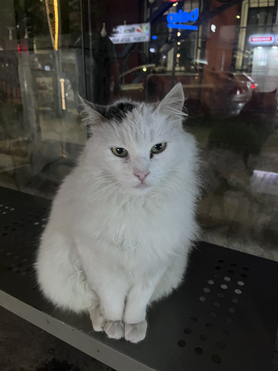 sümoş🫐 tweet media